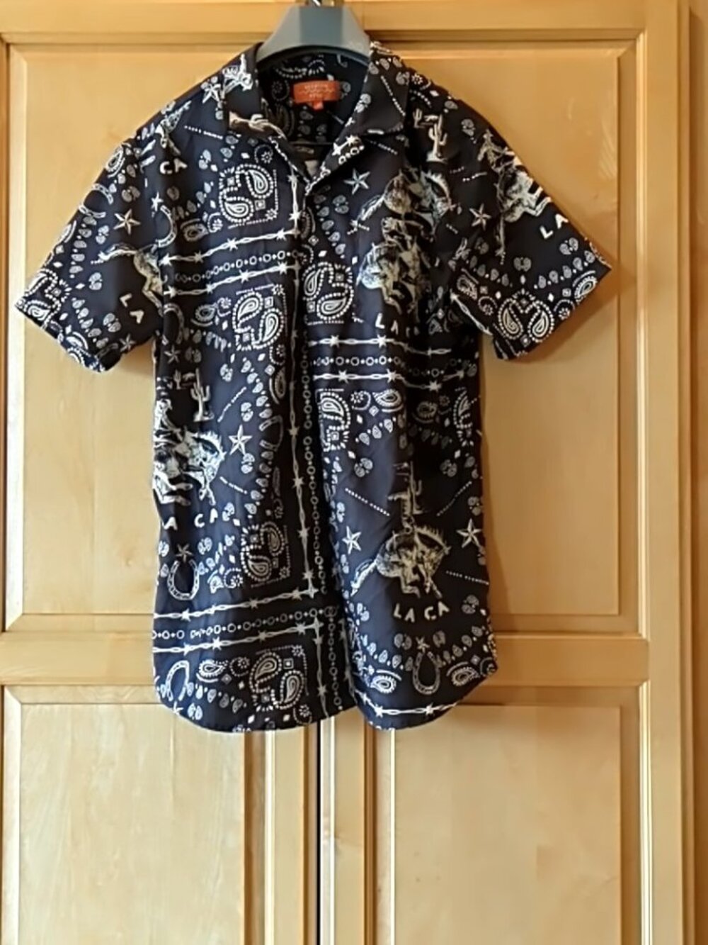 Men's Graphic Button Down